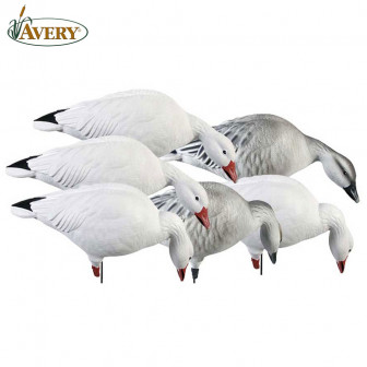 Avery GHG Pro-Grade Full Body Snows/Feeder Decoys (Pk/6)