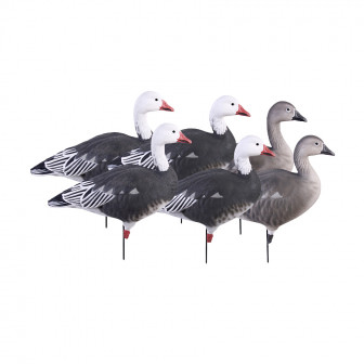 Avery GHG Pro-Grade Full Body Blues/Active Decoys (Pk/6)