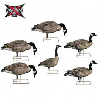 Avian-X AXP Fusion Honker Decoys (Pk/6)