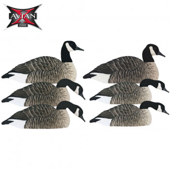 Avian-X AXF Honker Shell Decoys (Pk/6)