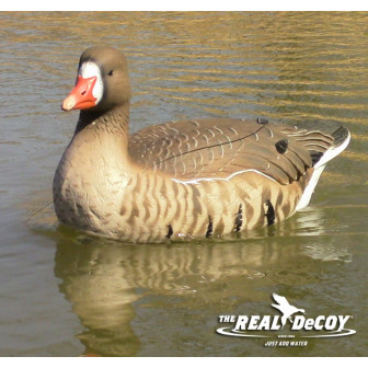 The REAL DeCOY Swimmer GHG Specklebelly Goose (Single)