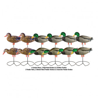 Avery GHG Pro-Grade FB Mallard/Harv w/Flocked Hds (Pack/12)