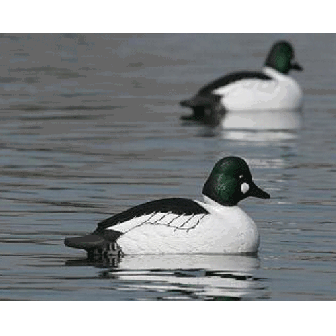 Avery GHG Over-Size Goldeneyes Decoys (Pk/6))