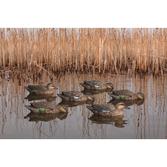 Avian-X Topflight Early Season Teal (Pk/6)