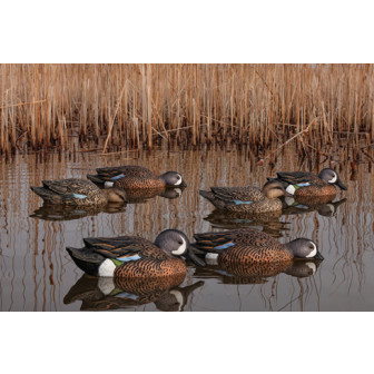 Avian-X Topflight Blue-Wing Teal (Pk/6)