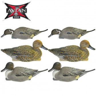 Avian-X Topflight Pintail (Pk/6)