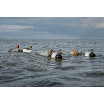 Tanglefree* Diver Decoy Migration Combo Pack (Pk/6)