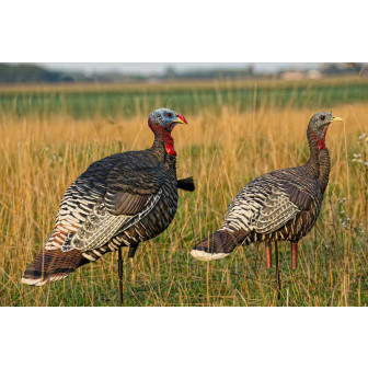 Avian-X LCD - Merriam Hen Lookout/Jake Turkey Decoy Combo