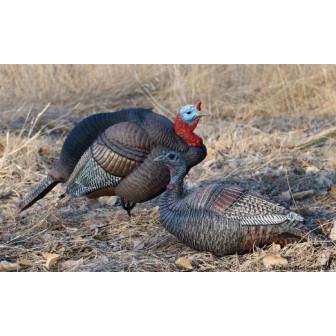 Dakota Decoy Hen Turkey Decoy