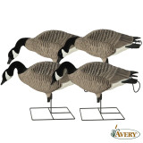 Avery GHG Pro-Grade Canada Full Body/Feeder Decoys (Pk/4)