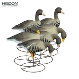 Higdon Full-Size Full-Body Variety Pack Specklebelly Decoys (Pk/6)