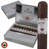 Joya de Nicaragua