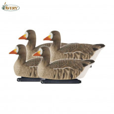 Avery GHG Pro-Grade Specklebelly Float/Active Pack (4-Pack)