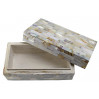 Mother of Pearl Treasure Box 